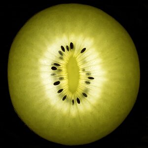 Kiwi durchleuchtet