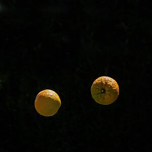 Orangen im freien Fall