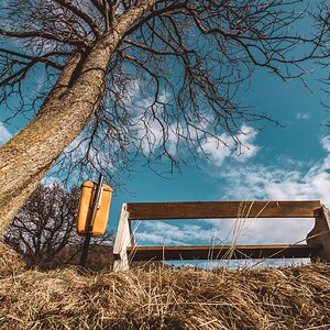 Blick nach oben
