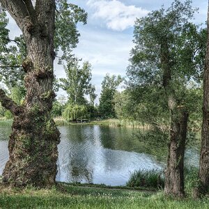 Am Mühlwasser