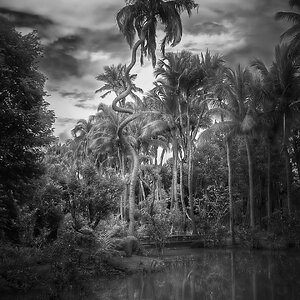 Jurassic Park