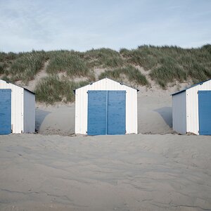 Texel