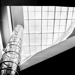 Streben nach Licht