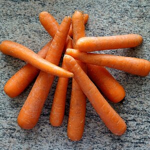 Mikado