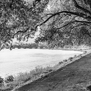 Ponte de Lima