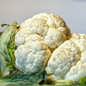 Blumenkohl