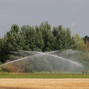 Duell der Wassersprenger.