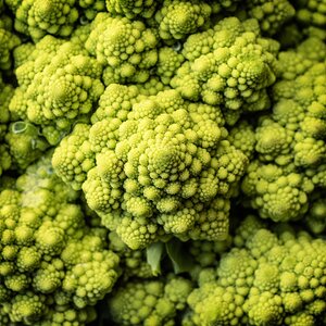 Romanesco