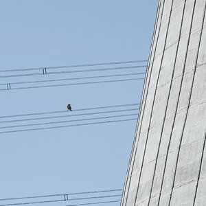 Rastplatz