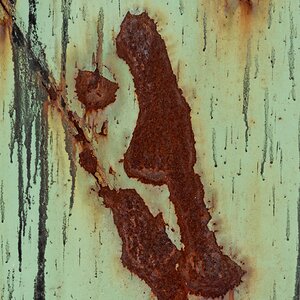 Rost