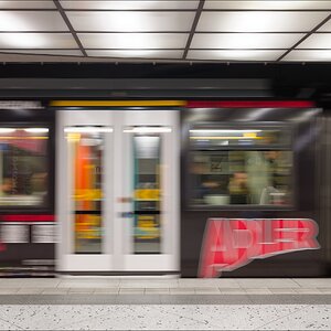 Auf zu den Adlern