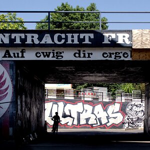 Bei den Adlern