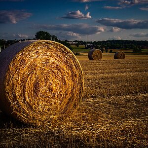 Farmer's Gold