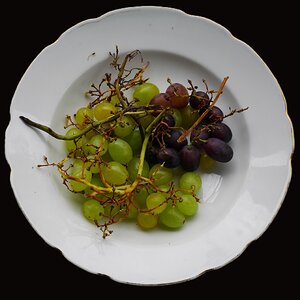 kernlos