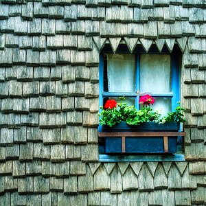 Fenster