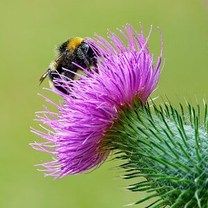 Schräglage