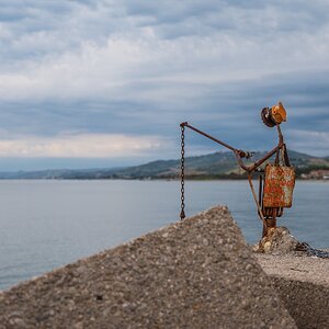 Angler