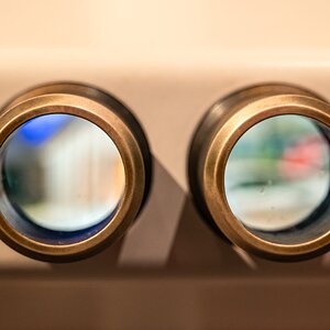 Anscheinend_ein_Fernglas_Liebling-2026-03.jpg