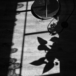 am Fenster.
