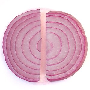 hk_260811_der_herr_der_zwiebelringe.jpg