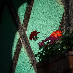 Knapp im Licht