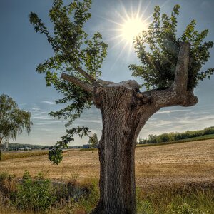 Sommersonnentag