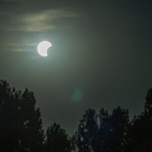 hk_260812_sophie_kommt_1.JPG