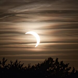 Sonnensichel