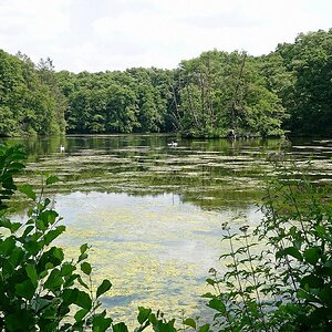 Still ruht der See