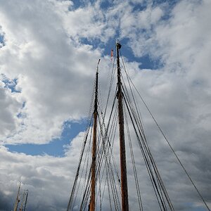 Ahoi