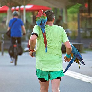 ... Rudeljogging