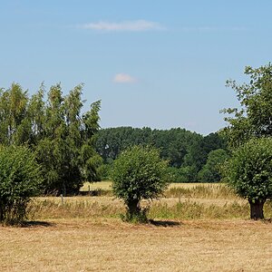 In der Mittagshitze