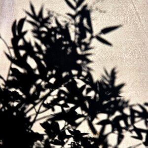 Hinterm Sonnenschirm