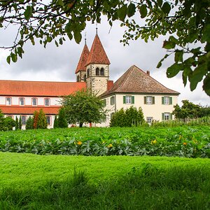 auf der Gemüseinsel