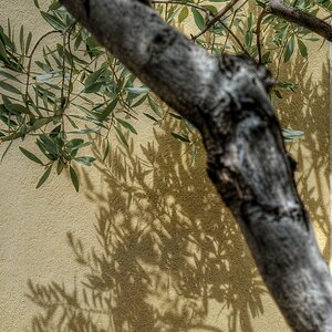 Ohne Titel