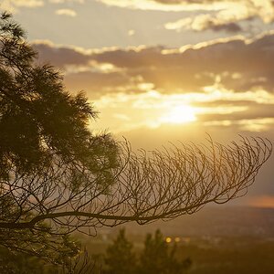 Abendstunde