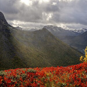 Fjordlicht