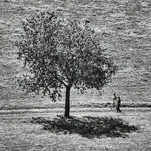Spaziergang