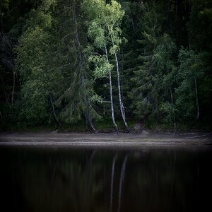 S082026_Am anderen Ufer_Klarälven_Björkebo.jpg