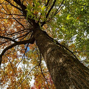 hk_260830_herbst_oder_nicht_herbst_das_ist_hier_die_frage.JPG