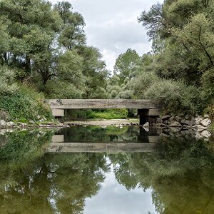 Rheinauen Brücke