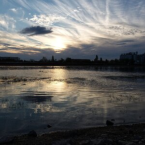 Abendstimmung am Rhein I