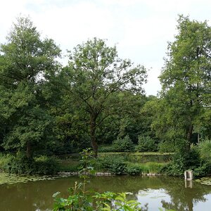 Im Wald