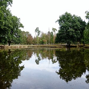 Still ruht der See