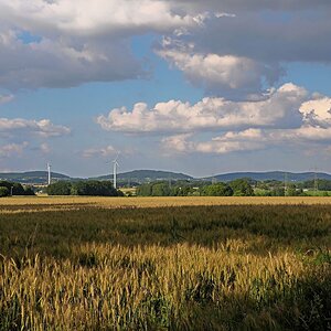 Wiehengebirgslandschaft