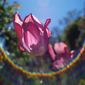 Flare mit Lichttropfen