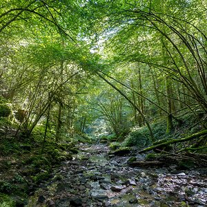 Medium 'Lützenschlucht' in der Kategorie 'Natur'