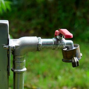 Wasser