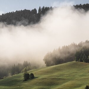 nach dem Regen