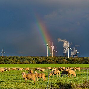 Nach dem Gewitter.